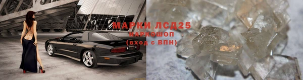 ПСИЛОЦИБИНОВЫЕ ГРИБЫ Абдулино