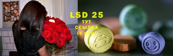ПСИЛОЦИБИНОВЫЕ ГРИБЫ Абдулино