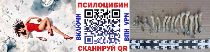 Псилоцибиновые грибы MAGIC MUSHROOMS darknet клад Лысково ссылка на мегу